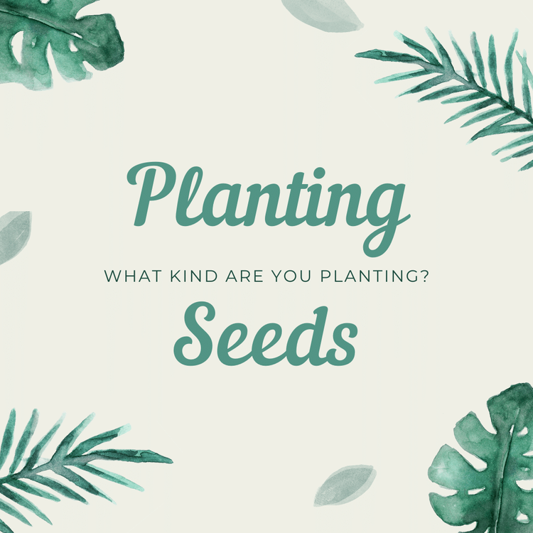 Planting+Seeds
